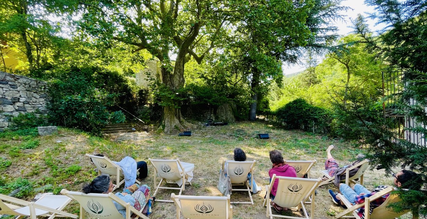 Concert végétal en plein air sous les arbres